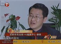 安徽卫视专访